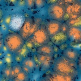 Koi Pond - 16oz Mayco Jungle Gem Crystal Glaze